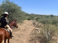 Namibia-Namibia-Central Namibia Game Ride